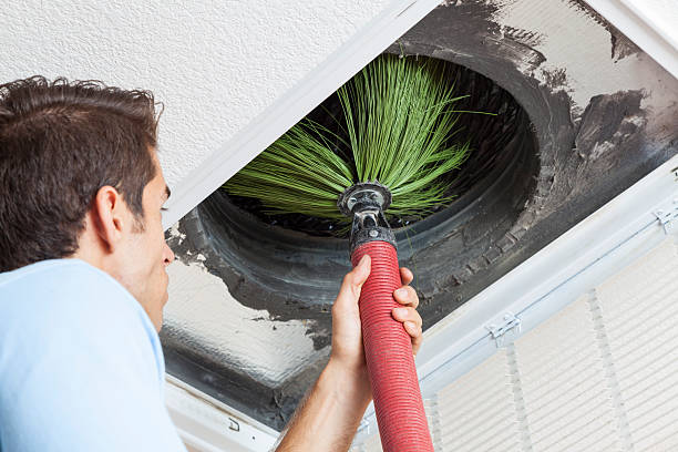 Best Affordable Duct Cleaning Services  in Nekoosa, WI