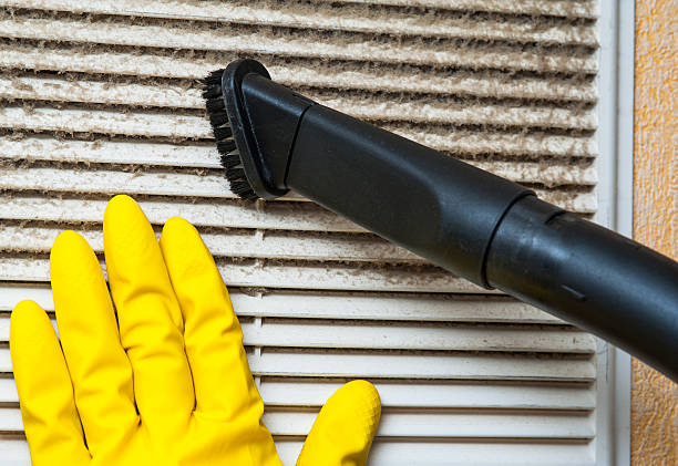 Best Professional Duct Cleaning Services  in Nekoosa, WI